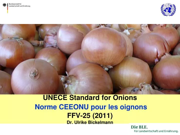 unece standard for onions norme ceeonu pour les oignons ffv 25 2011 dr ulrike bickelmann