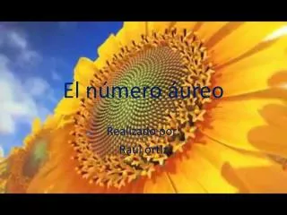 el n mero ureo