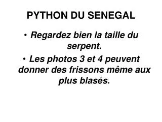 python du senegal