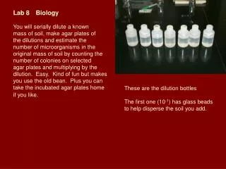 Lab 8	Biology You will serially dilute a known mass of soil, make agar plates of