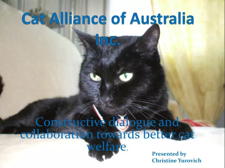 cat alliance of australia inc