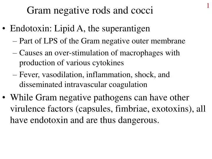 gram negative rods and cocci