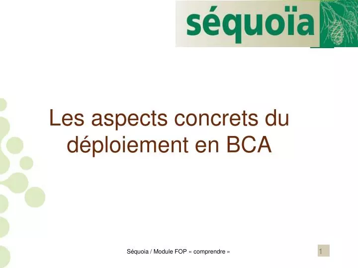 les aspects concrets du d ploiement en bca