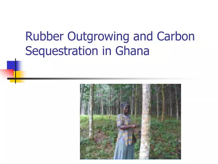 rubber outgrowing and carbon sequestration in ghana