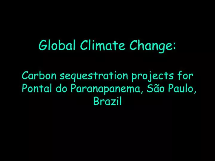 global climate change carbon sequestration projects for pontal do paranapanema s o paulo brazil