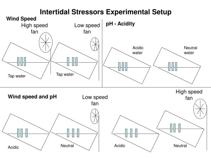 intertidal stressors experimental setup