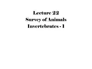 Lecture 22 Survey of Animals Invertebrates - 1