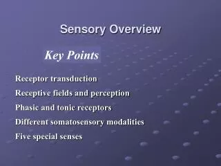 Sensory Overview