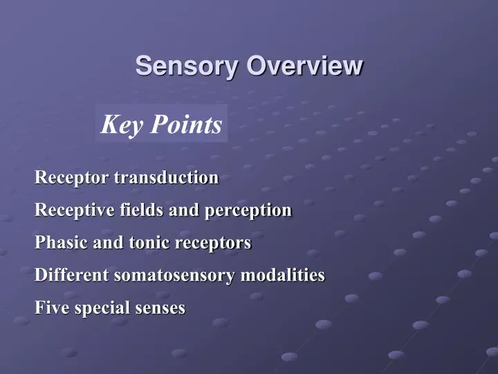 Ppt Sensory Overview Powerpoint Presentation Free Download Id 3120120