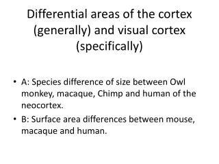 Differential areas of the cortex (generally) and visual cortex (specifically)