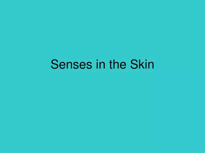 senses in the skin