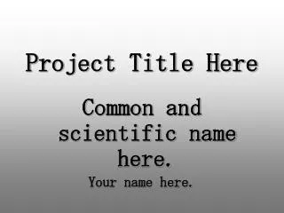 project title here