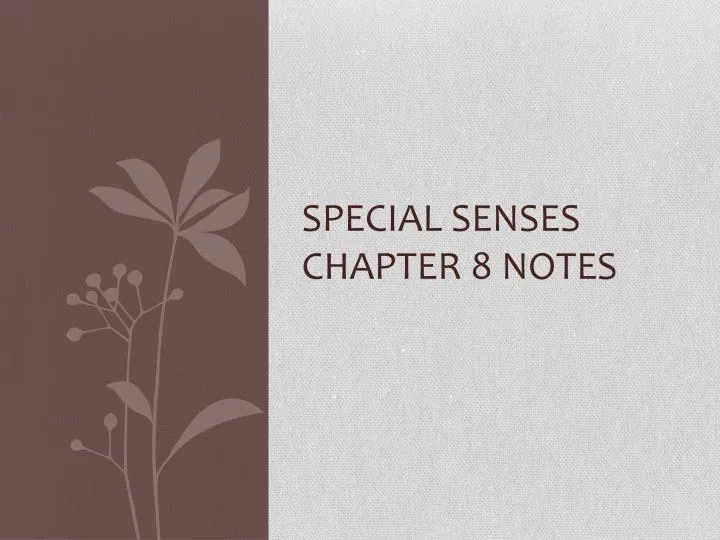 special senses chapter 8 notes