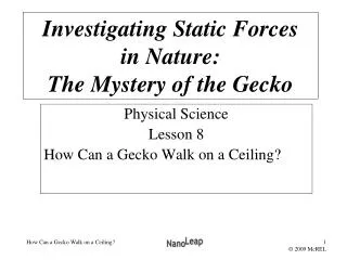 Physical Science Lesson 8 How Can a Gecko Walk on a Ceiling?