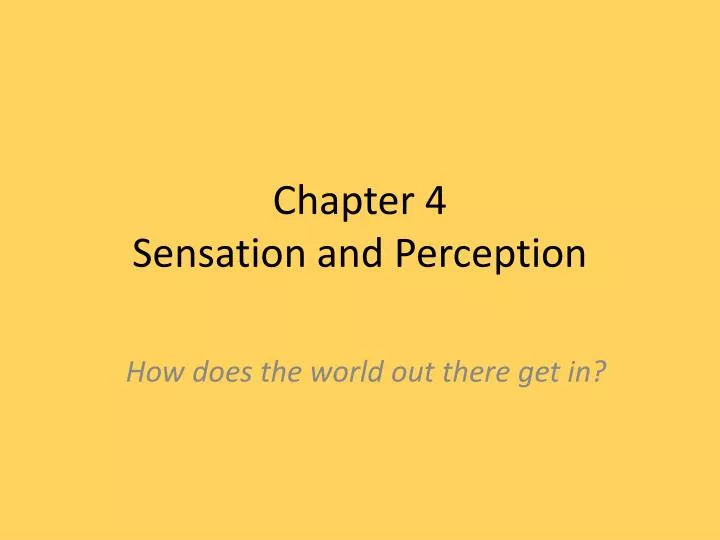 chapter 4 sensation and perception