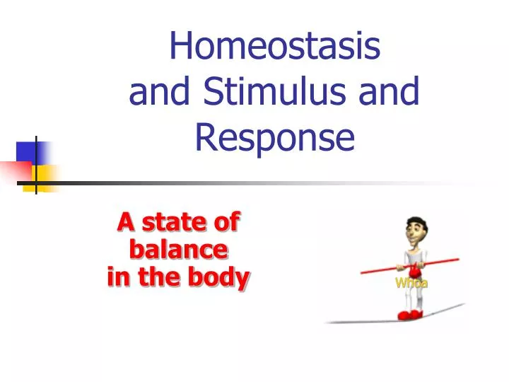 homeostasis and stimulus and response