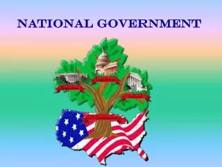 national government