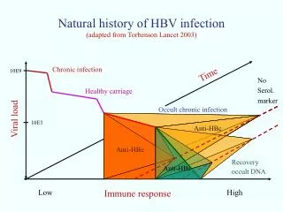 Natural history of HBV infection (adapted from Torbenson Lancet 2003)