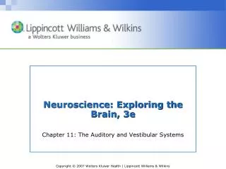 Neuroscience: Exploring the Brain, 3e