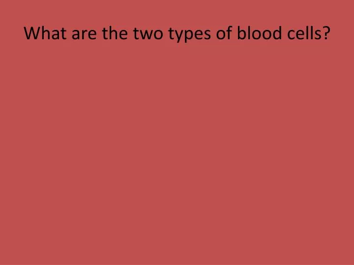what are the two types of blood cells