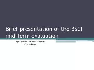 Brief presentation of the BSCI mid-term evaluation