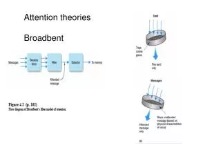 Attention theories Broadbent