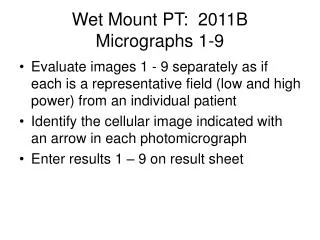 Wet Mount PT: 2011B Micrographs 1-9