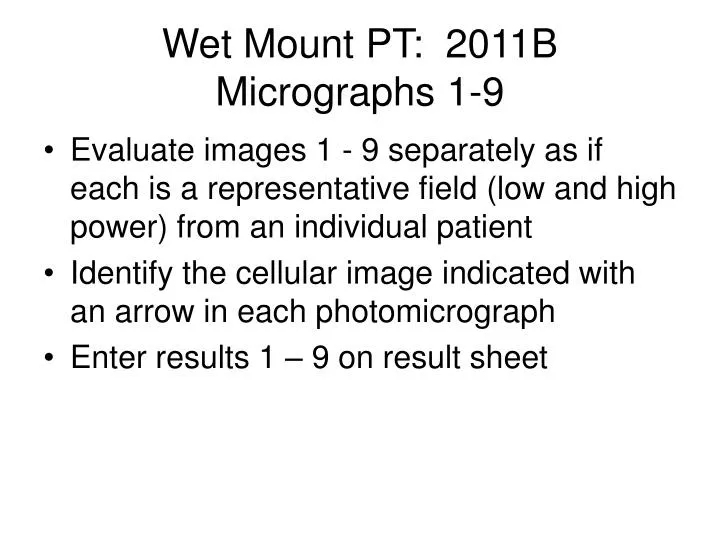 wet mount pt 2011b micrographs 1 9