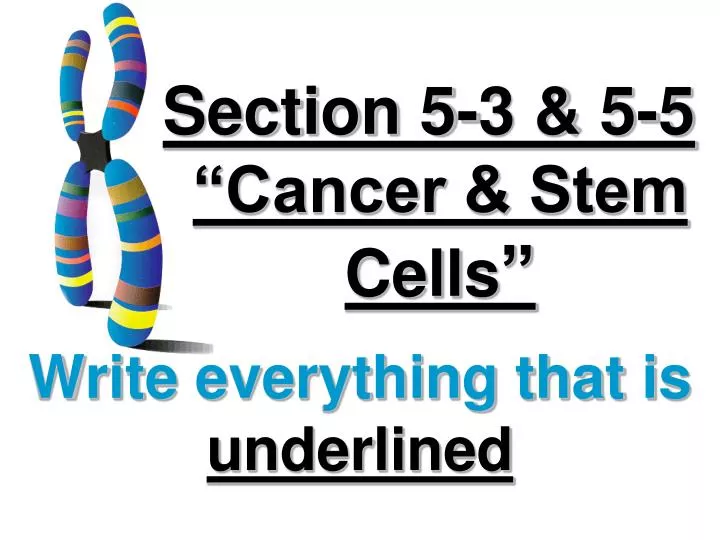 section 5 3 5 5 cancer stem cells