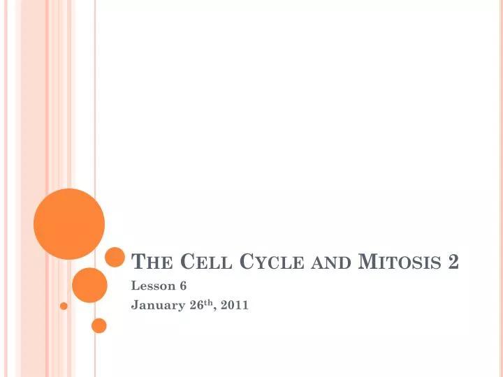 the cell cycle and mitosis 2