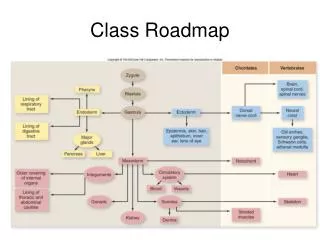 Class Roadmap