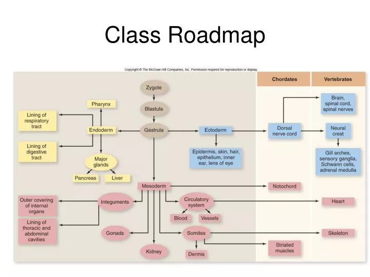 class roadmap