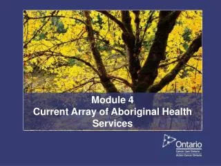 Module 4 Current Array of Aboriginal Health Services