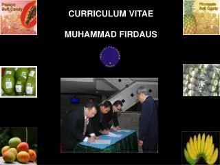 CURRICULUM VITAE MUHAMMAD FIRDAUS