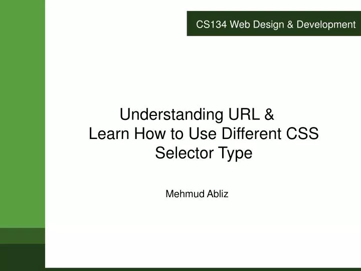 cs134 web design development