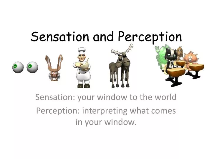 sensation and perception