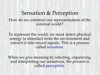 Sensation &amp; Perception