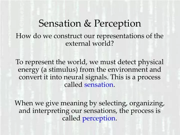 sensation perception