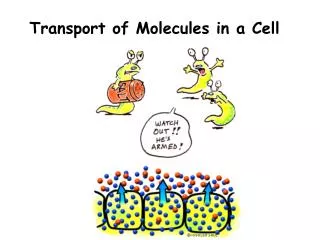 Transport of Molecules in a Cell