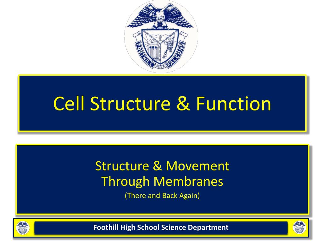 PPT - Cell Structure & Function PowerPoint Presentation, free download ...