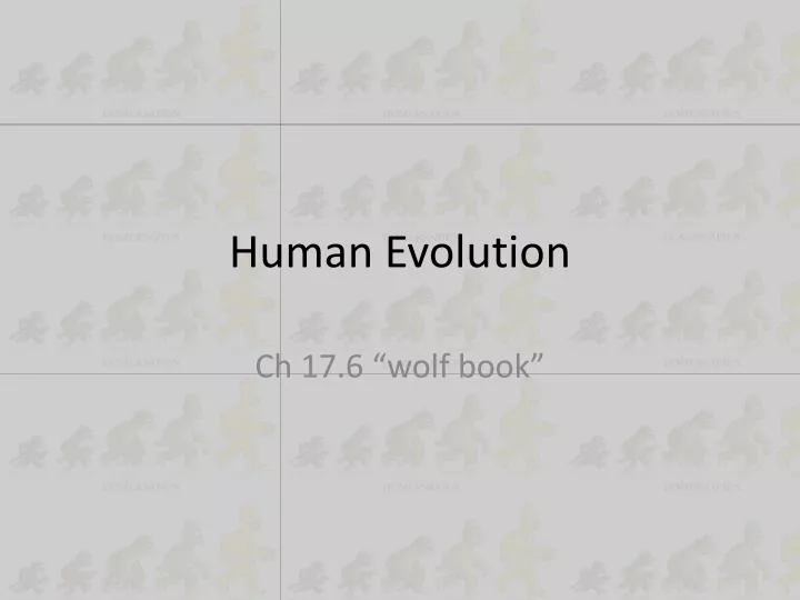 human evolution