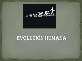 evoluci n humana