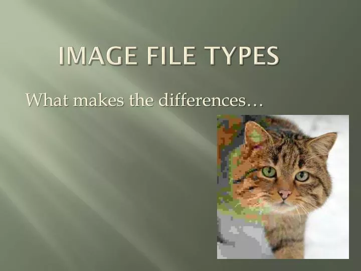 image file types