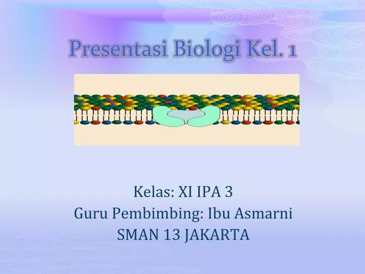 presentasi biologi kel 1