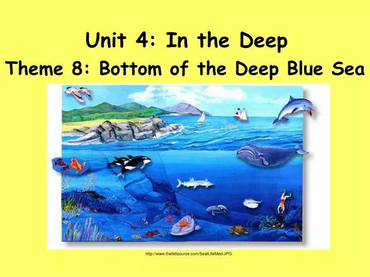 unit 4 in the deep