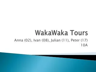 WakaWaka Tours