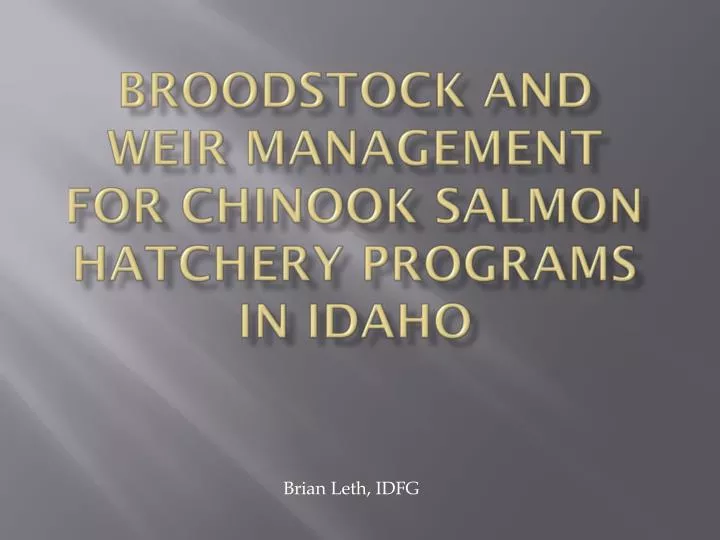 broodstock and weir management for chinook salmon hatchery programs in idaho