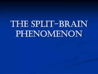 The split-brain phenomenon