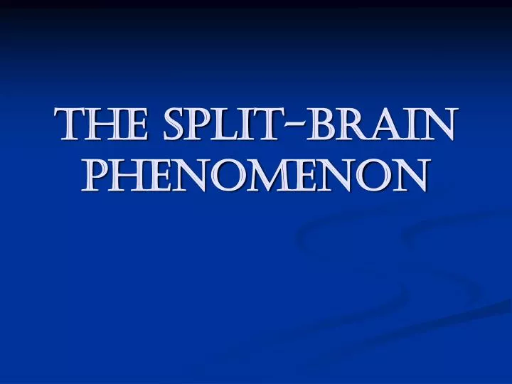 the split brain phenomenon