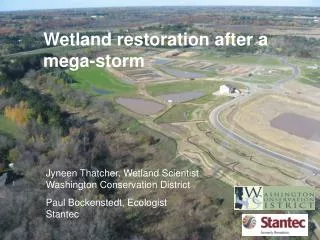 Wetland restoration after a mega-storm